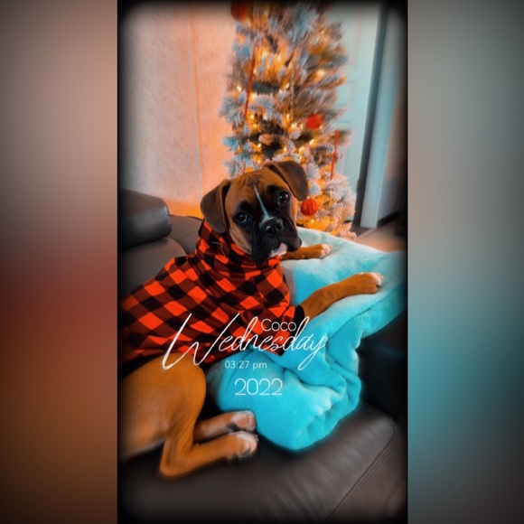 Meet your Posher, Christina - Picture 6 of 6